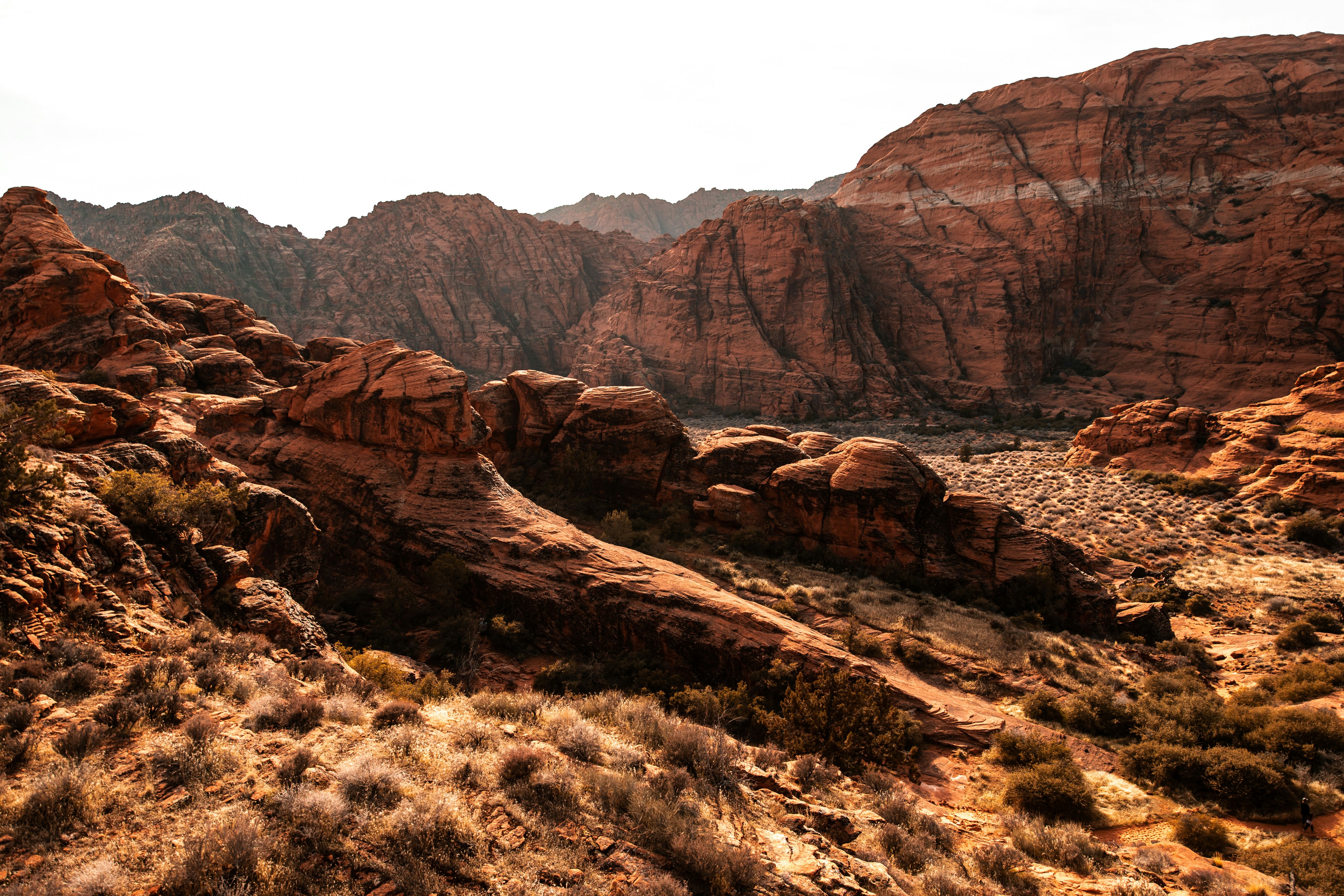 Jake Nackos Unsplash Image Snow Canyon